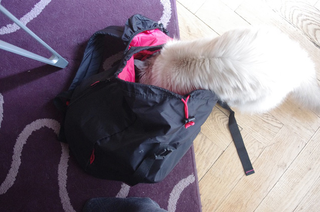 Illustration for article titled Super Light Packing for the Broke-Ass TravelerÂ